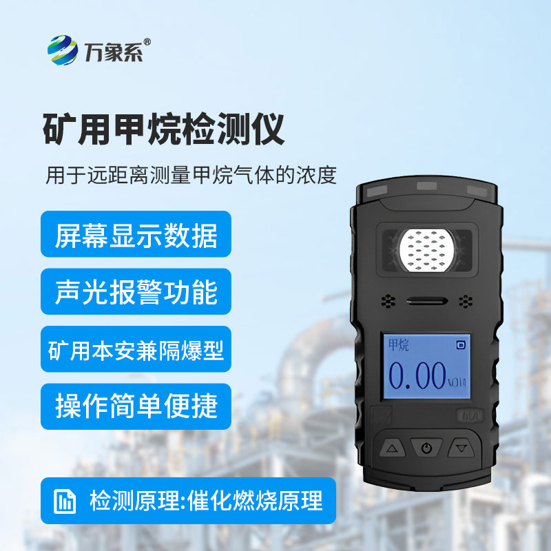 可燃?xì)怏w檢測(cè)儀